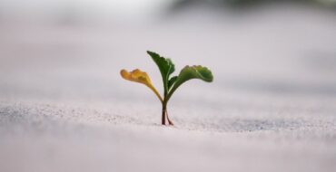 Strive Not To Be A Success, But Rather To Be Of Value