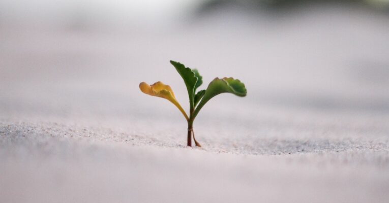 Strive Not To Be A Success, But Rather To Be Of Value