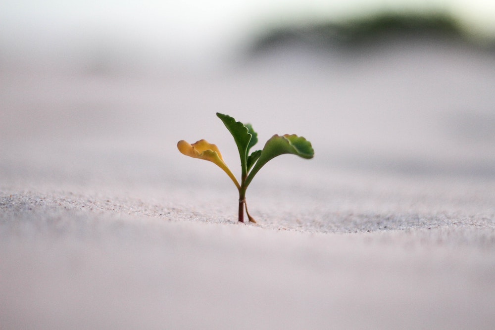 Strive Not To Be A Success, But Rather To Be Of Value